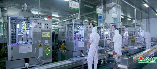 金鑼 誠(chéng)信筑基,守護(hù)食品安全,引領(lǐng)健康美味